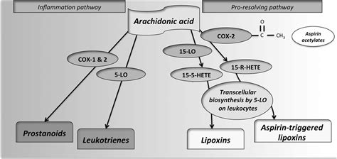 Aspirin Mechanism Of Action