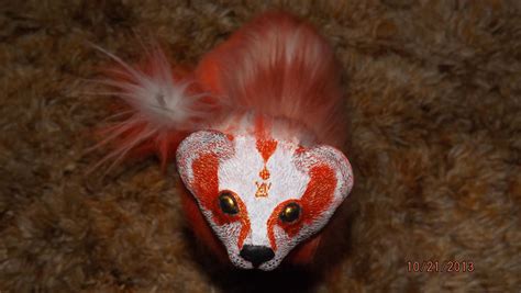 Red Panda/Ferret Art Doll by Arashiwildcat on DeviantArt