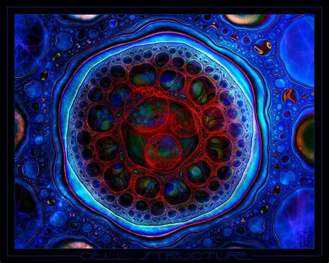 Cell structure by TSHansen on DeviantArt