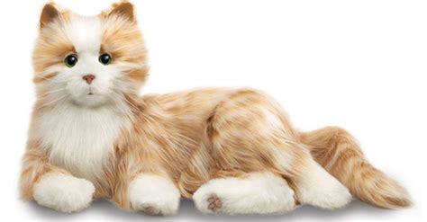 Toy Cat Robots May Be Just The Thing For Lonely Seniors | HuffPost