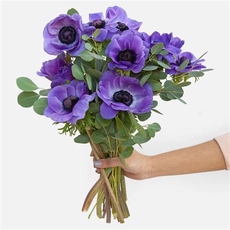 Blue Anemone Bouquet - Flower Delivery NYC - plantshed.com