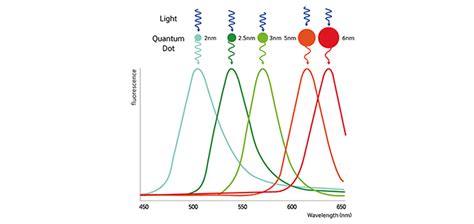 Why Are Quantum Dot Displays So Good? – Samsung Global Newsroom