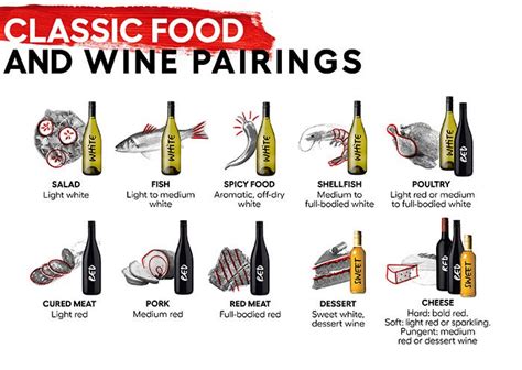 Australian Wine | 5 steps to pairing food with wine