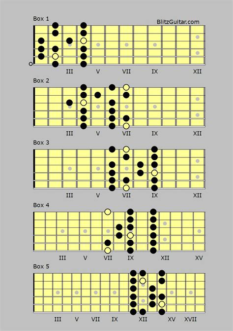 B major scale BlitzGuitar.com – FINGERSTYLE GUITAR LESSONS