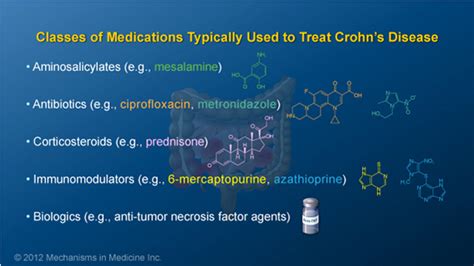 Slide Show - Understanding the Risks and Benefits of IBD Therapies