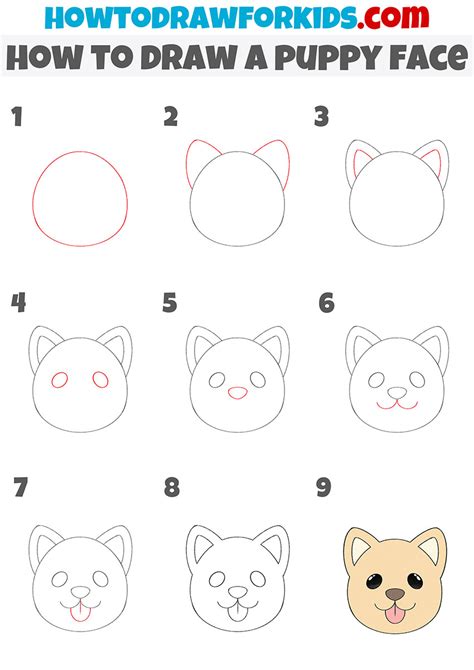 How to Draw a Puppy Face - Easy Drawing Tutorial For Kids