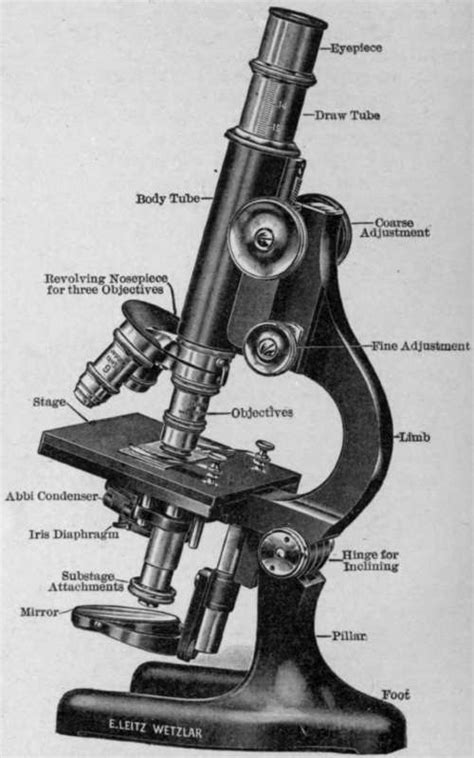 Anatomy Of A Microscope