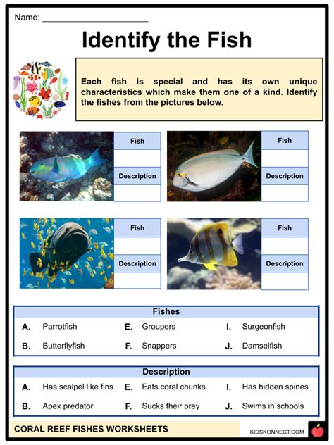 Coral Reef Fish Names