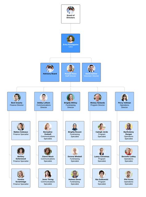 Organizational Structure Chart Types