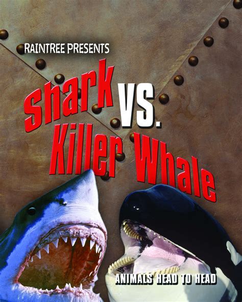 Shark vs. killer whale