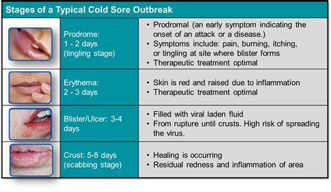 stages of the cold