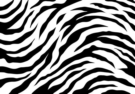 Download White Tiger Stripes Vector Art. Choose from over a million free vectors, clipart ...