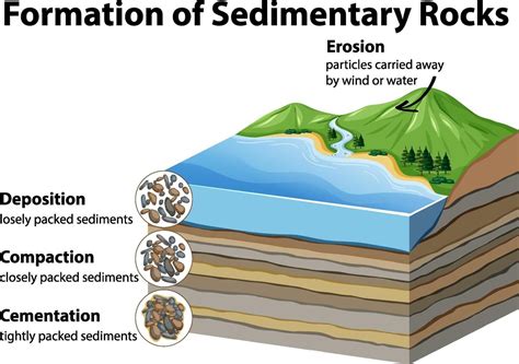 Formation of sedimentary rocks 3426736 Vector Art at Vecteezy