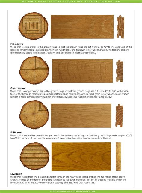 Types Of Softwood And Hardwood - Patricia Sinclair's Coloring Pages