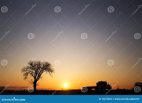 Silhouette of One Tree and Semi Truck at Sunset Stock Image - Image of wheeler, semi: 70372853