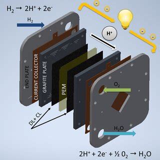 Basic structure of a proton exchange membrane fuel cell | Download Scientific Diagram