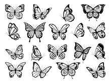 Butterfly Clipart Free Stock Photo - Public Domain Pictures