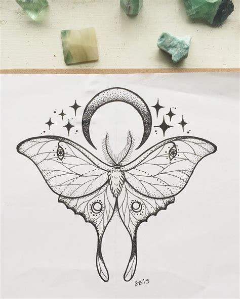 Luna Moth Drawing - Fine art illustration of a luna moth. - bmp-ify