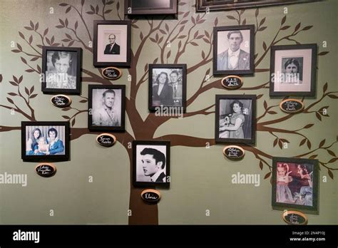 The Presley family tree display in the Trophy Building at Graceland, the home of Elvis Presley ...