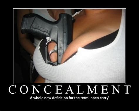 Funny Gun Quotes And Sayings. QuotesGram