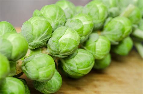 Brussels Sprouts: Planting, Growing, and Harvesting Brussels Sprouts | The Old Farmer's Almanac