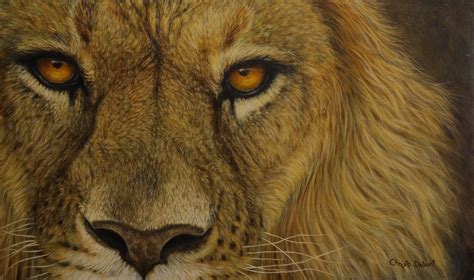 Lion’s eyes - Christo Delport Art