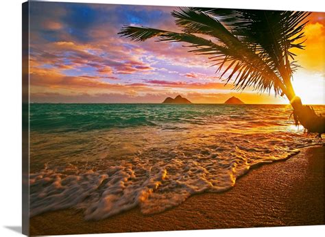 Hawaii, Oahu, Lanikai Beach At Sunrise Wall Art, Canvas Prints, Framed Prints, Wall Peels ...