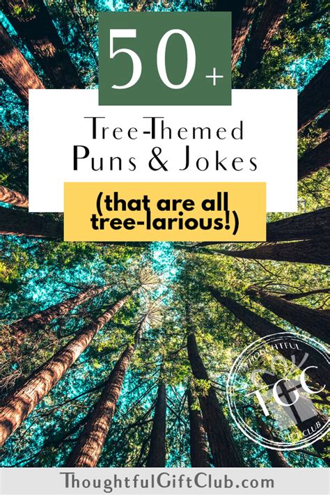 50+ Tree Puns & Jokes for Instagram Captions That Are Tree-larious