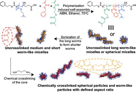 Synthesis of core crosslinked stable block copolymer nanoparticles... | Download Scientific Diagram