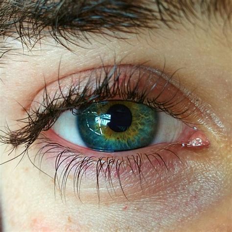 Aquamarine eyes - babychlist