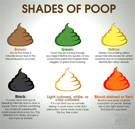 stool color chart for adults - poop stool color changes color chart and meaning healthy concept ...