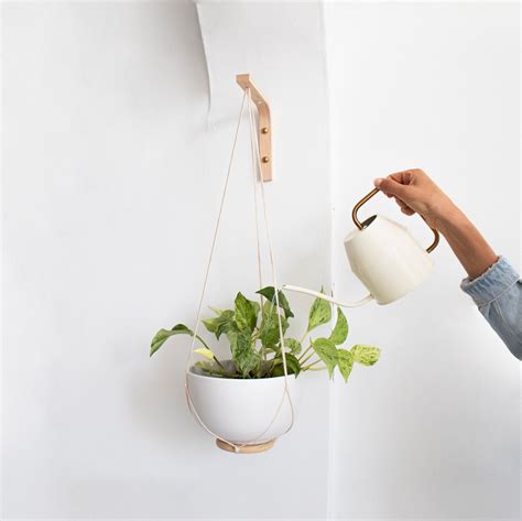 Wall Hook for Hanging Plants, Wood Plant Hanger Indoor or Outdoor, Wall Plant Holder, Plants ...