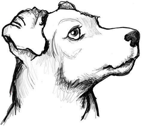 How to Draw a Terrier's Face / Dog's Face with Easy Steps - How to Draw ...