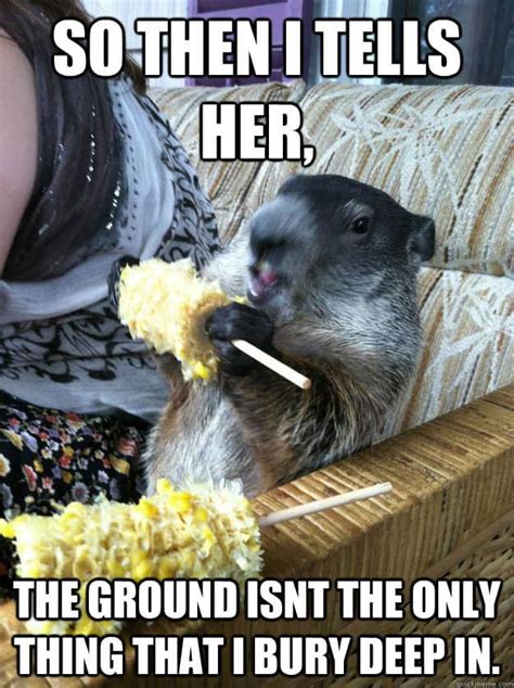 It's Groundhog Day... Again (20 PICTURES) | WorldWideInterweb