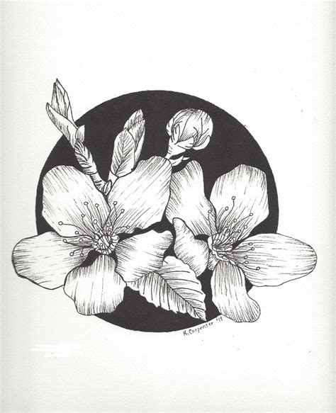 Original Pen & Ink Drawing of Flowers on Archival Watercolor Paper ...