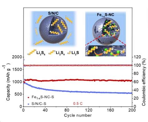 Scientists develop high-performance lithium-sulfur batteries