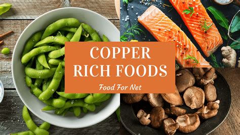 24 Copper Rich Foods So You’re Never Short Of This Trace Mineral | Food For Net