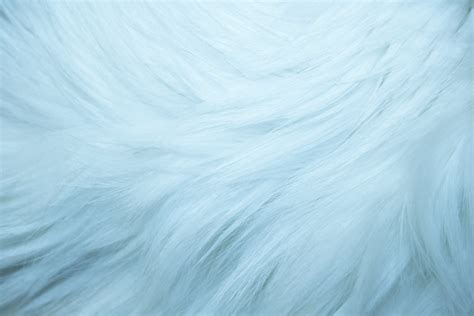 Baby Blue Fur Texture Picture | Free Photograph | Photos Public Domain