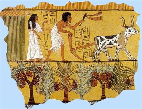 Ancient Egyptian farming | tools | history wiki - Twinkl