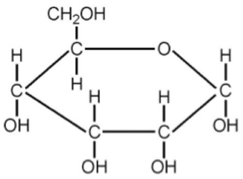 Chemical Structure of Carbohydrates: Simple vs Complex