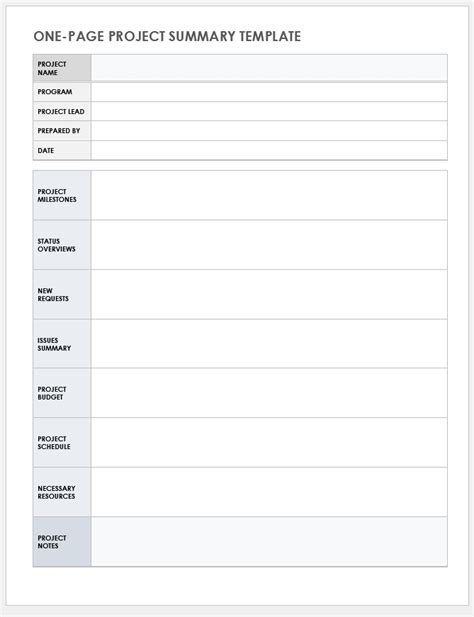 Project Summary Report Template