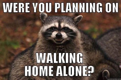 18 Evil Plotting Raccoon Memes That Will Make You Nervously Laugh Just a Little