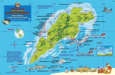 Guanaja Dive Sites - Dunbar Rock