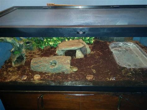 Tiger Salamander Habitat