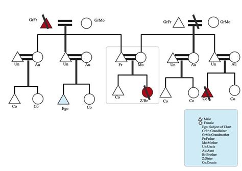 Kinship Diagram Symbols