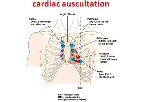 Mitral Valve Location Intercostal Space