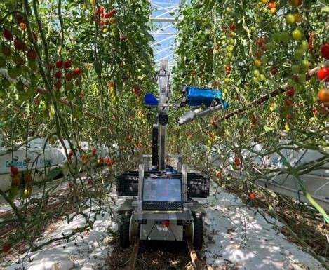 Newly updated harvesting robot runs 8 times faster than previous version