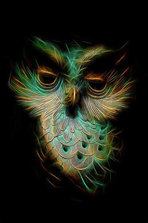 Owl Spirit Digital Art by Brian Davis | Fine Art America