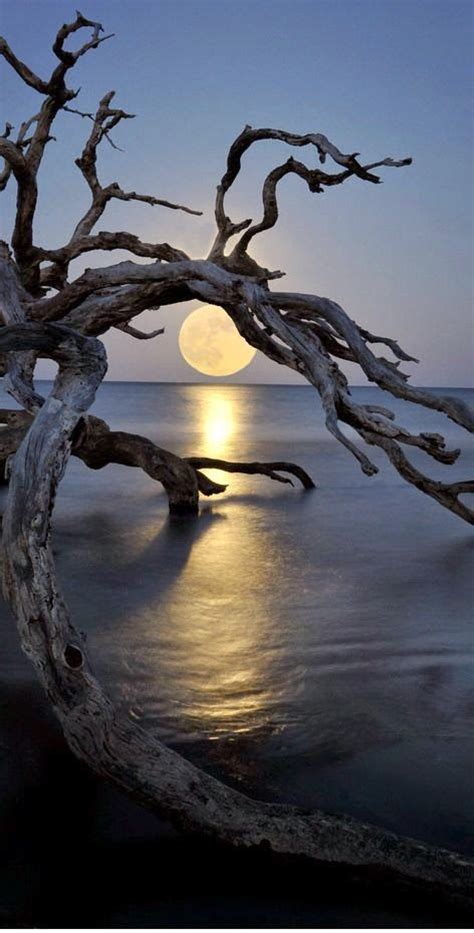 Fabulous Full Moon Photography To Keep You Fascinated – Bored Art