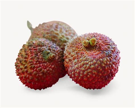 Lychee fruit, isolated image | Free Photo - rawpixel